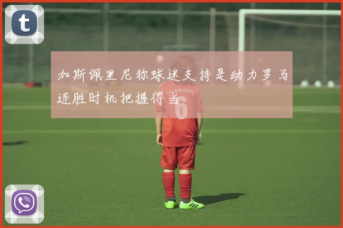 加斯佩里尼称球迷支持是动力罗马连胜时机把握得当