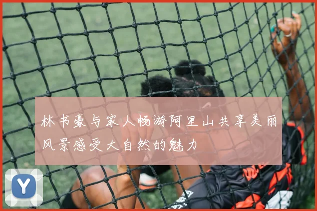 林书豪与家人畅游阿里山共享美丽风景感受大自然的魅力