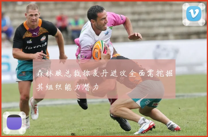森林狼总裁称麦丹进攻全面需挖掘其组织能力潜力